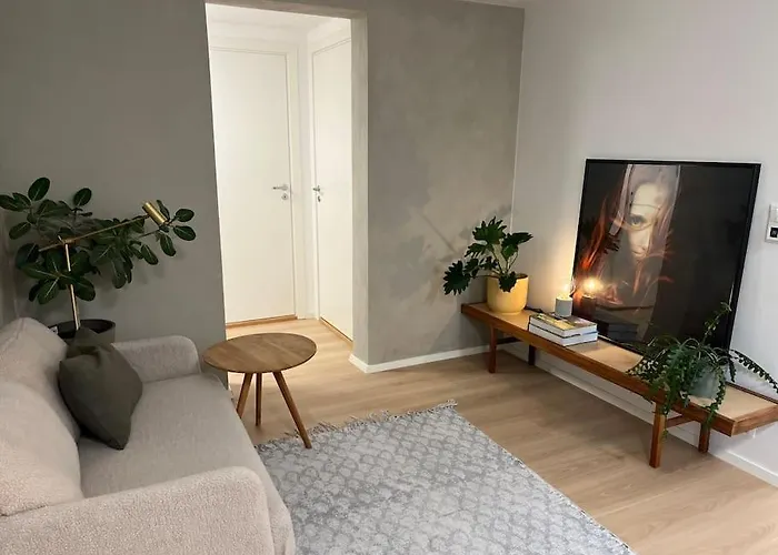 Newly Renovated Trondheim Apartment